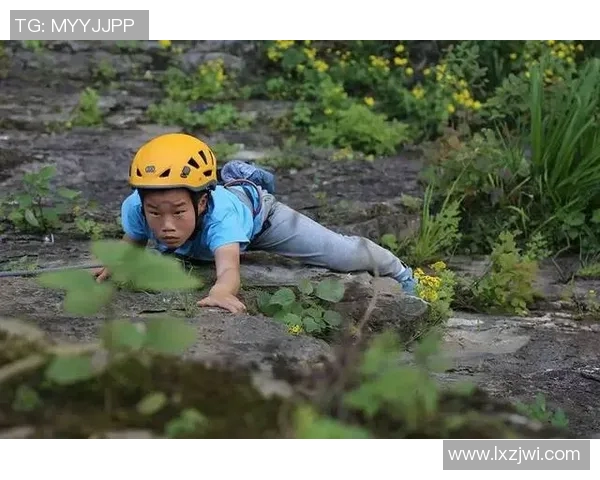 科学攀岩比赛经验分享与高效训练方法探讨